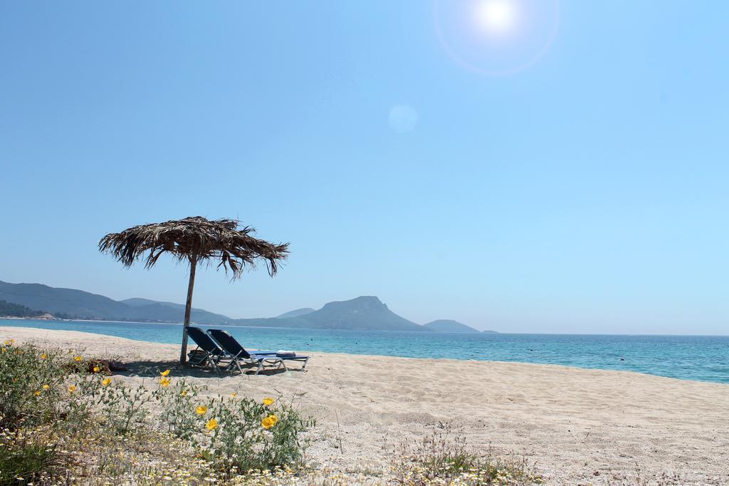 Despotiko Apt. Hotel & Suites Τορώνη Εξωτερικό φωτογραφία